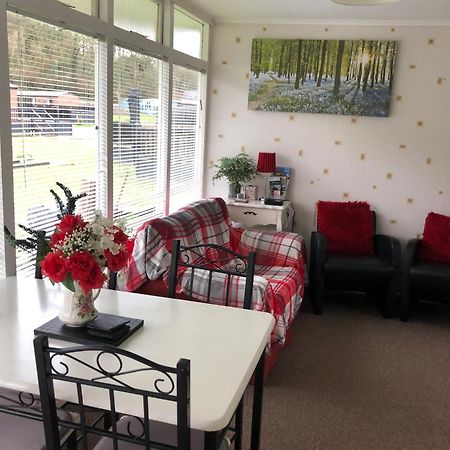 Whispering Creek Hotell New Quay  Eksteriør bilde